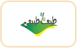 التسويق الإلكتروني